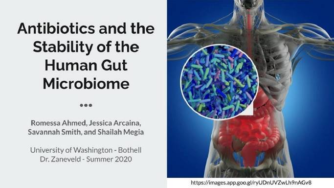 Antibiotics and the stability of the Human Gut Microbiome title slide
