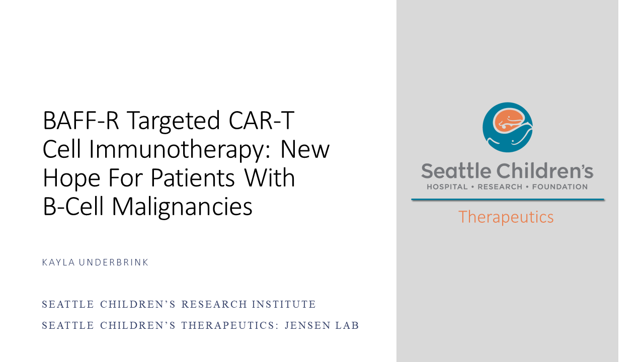BAFF-R Targeted CAR-T Cell Immunotherapy: New Hope for Patients with B-Cell Malignancies Poster